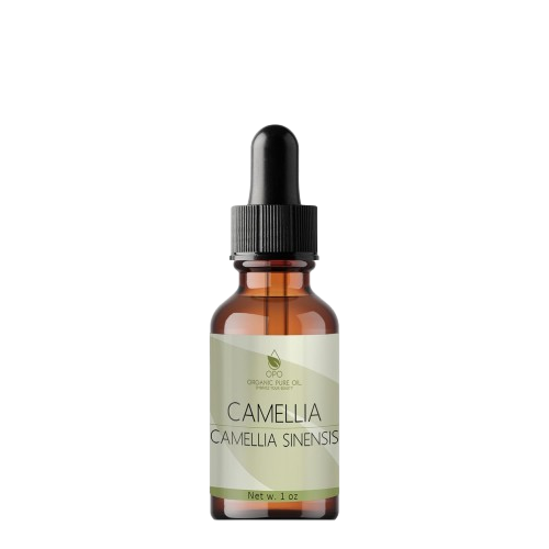 Japanese Camellia Seed Oil